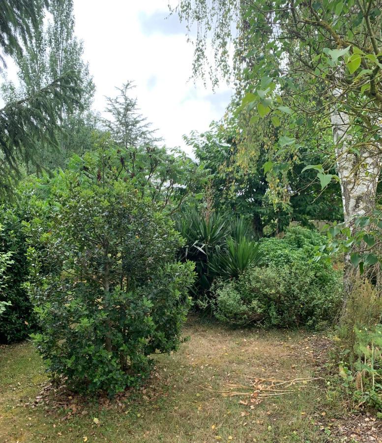 Maison D'Hotes La Chabanaise - Marais Poitevin Cramchaban Buitenkant foto